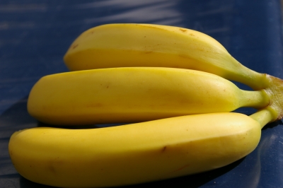 frische Bananen