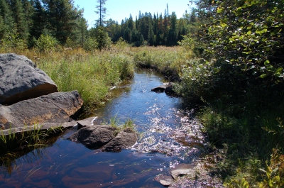 Bachlauf zum See