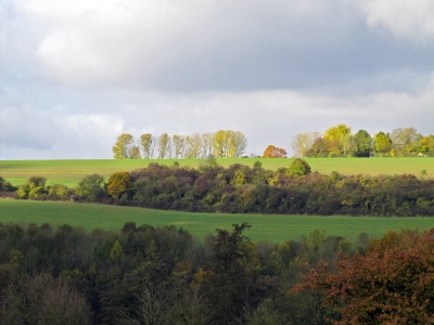 Herbstspaziergang