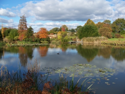 Herbstsee 1