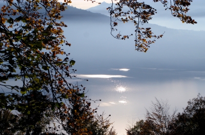 Herbstimpressionen am Thunersee