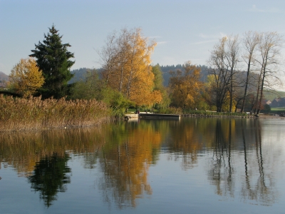 Spiegelbild am Türlersee