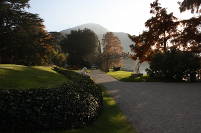 Park der Villa Melzi im Gegenlicht