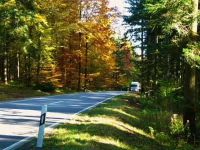 Landstraße im Herbst