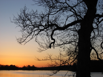 Sonnenuntergang am Wermsdorfer See