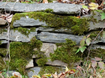 Bruchsteinmauer mit Moos