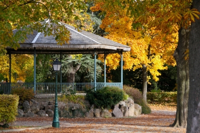 Herbsttag im Park