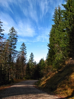 Wanderweg zur Winkelmoosalm