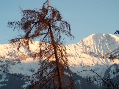 Abend dämmerung