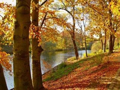 Volkspark Wilmersdorf