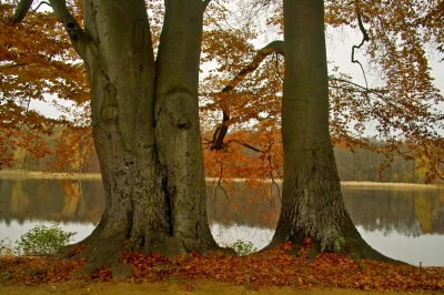 Friedlicher Herbst