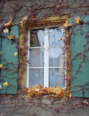 Blattloser Fenster-Herbst