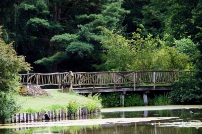 Teich-Brücke