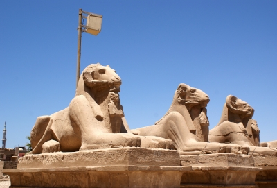 Widder-Allee Karnak Tempel
