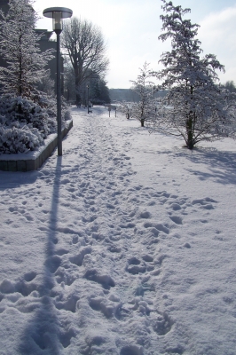 Spuren im Gegenlicht