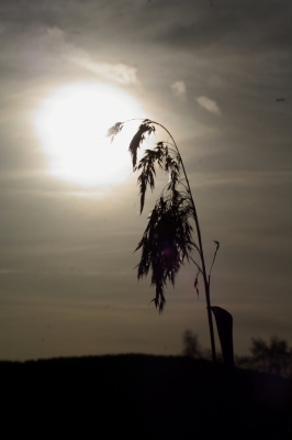 Wenn die Sonne Gute Nacht sagt...