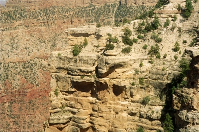 Grand Canyon - Blick in den Abgrund