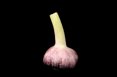 Knoblauch 20