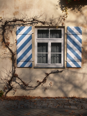 Veitsburg-Fenster