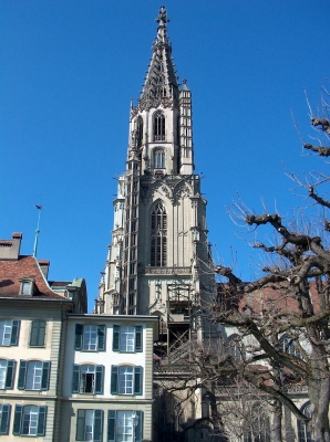 Münster  in Bern