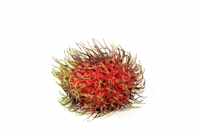 Rambutan 1