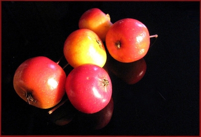 Zieräpfel