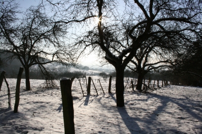 Wanderung durch den Schnee 2