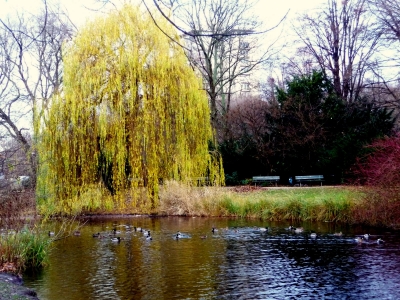 Idylle im spätherbstlichen Tiergarten