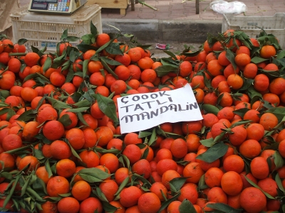 Mandarinen in Antalya