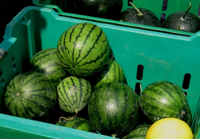 Melonen frisch auf dem Markt