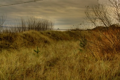 Düne auf Usedom - HDR