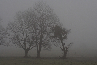 Dezembernebel