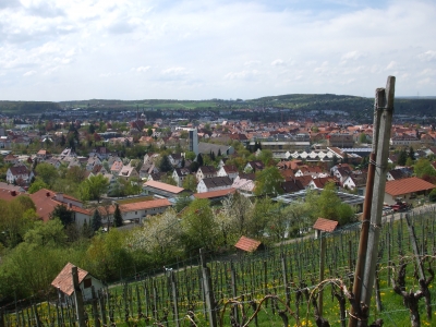 Metzingen aus der Sicht der Winzer