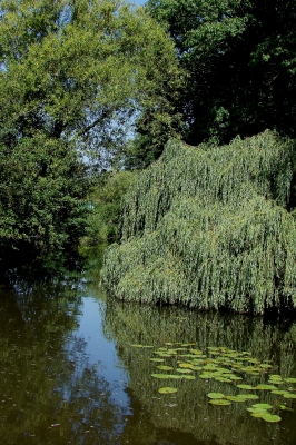 Emsidylle, Spiegelung in grün und blau