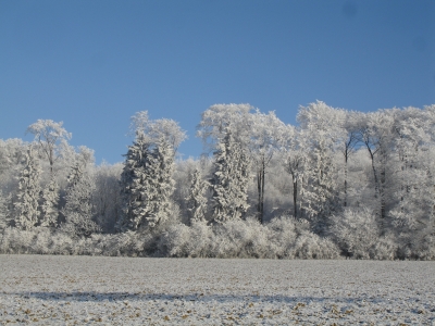 Winterlandschaft im Eichsfeld