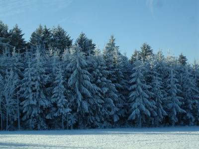 Winterlandschaft im Eichsfeld