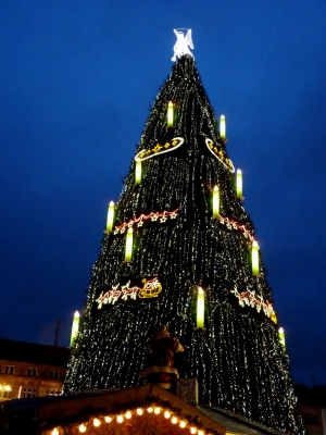 Riesen-Weihnachtsbaum Dortmund