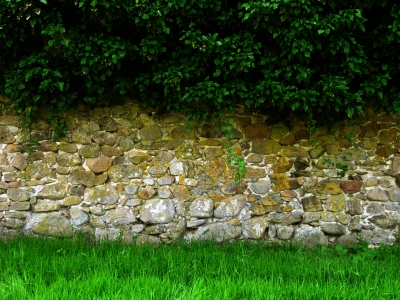 Alte Burgmauer zwischen Gras und Zweigen