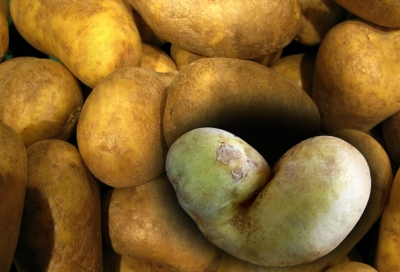 Ein Herz für Kartoffeln