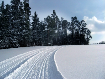 frische Loipe am Waldrand