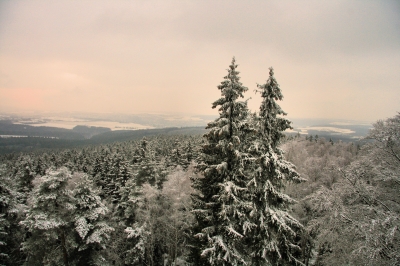 Wintereinbruch am Steinberg