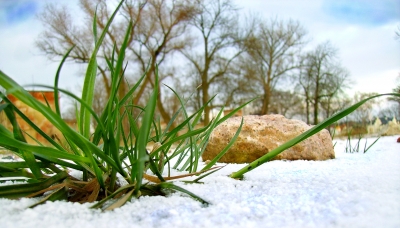Schnee, Gras, Stein...
