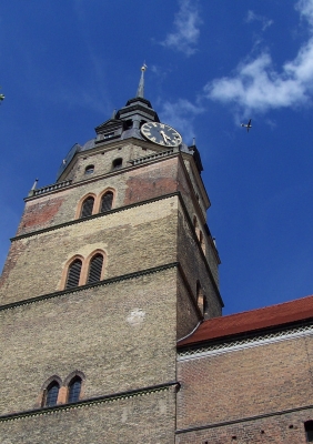 Brandenburg/H., Kirchturm und Segelflieger