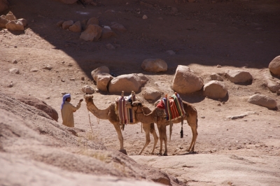 Transportmittel in der Wüste