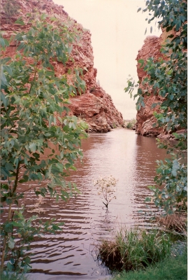 Alice Springs