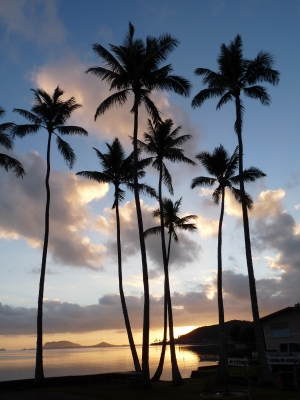 hawaiian sonnenaufgang 05