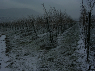 wenn es Abends anfängt mit Schnee