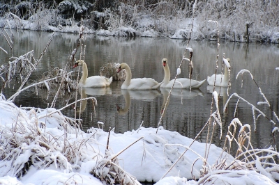 Winterausflug