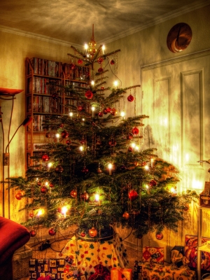 Weihnachtsbaum 2009