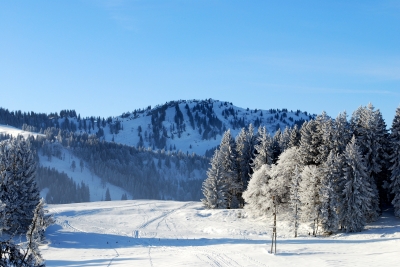 Wintersport in Oberstaufen / Streibis 2